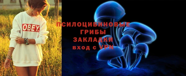 а пвп мука Верхний Тагил