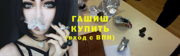 индика Бородино